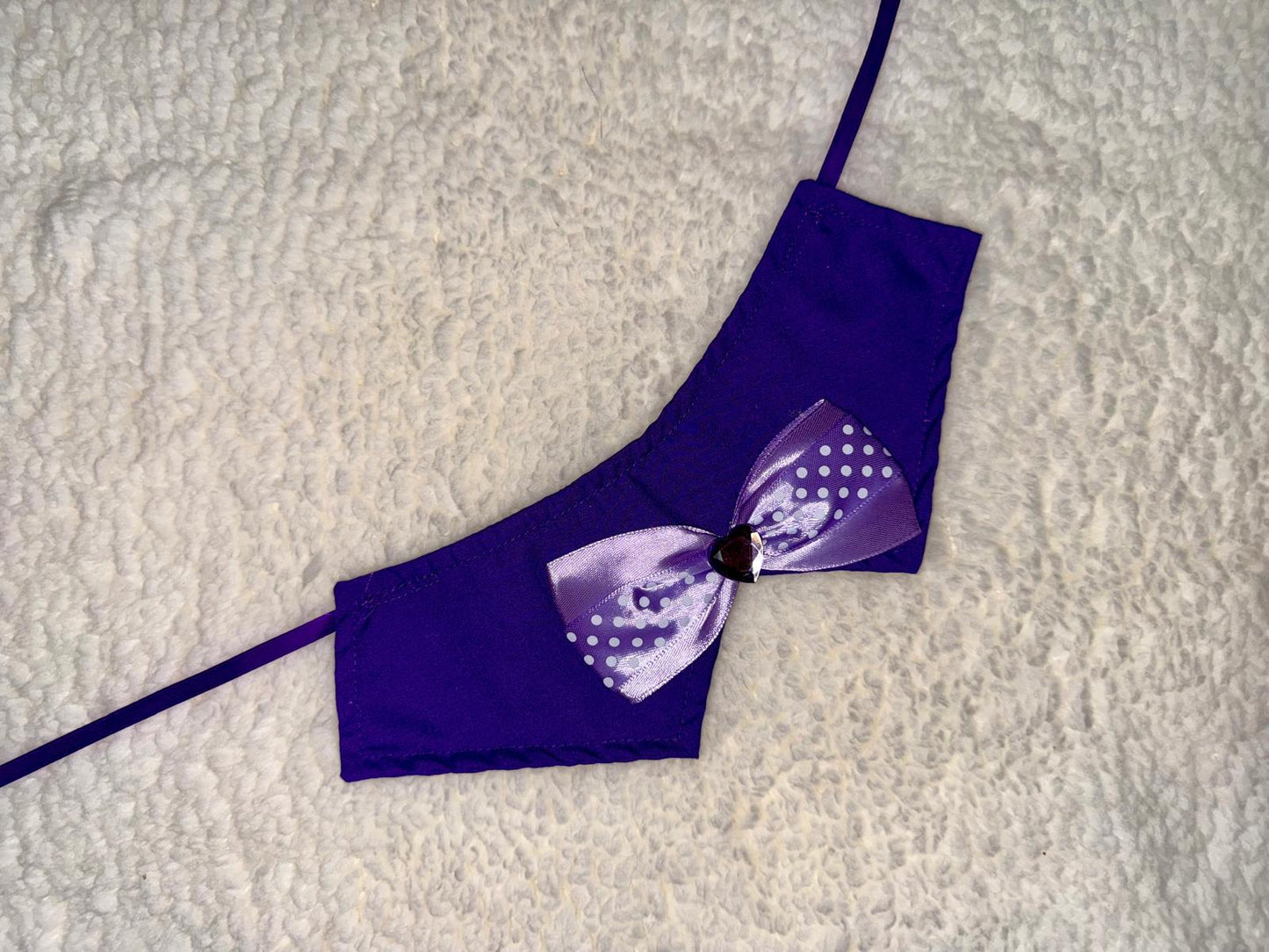 Blue Pet Tie with Ribbon