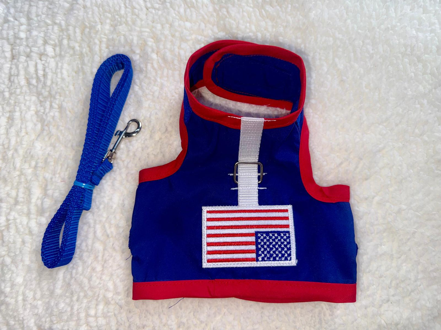 Harness with Front Design