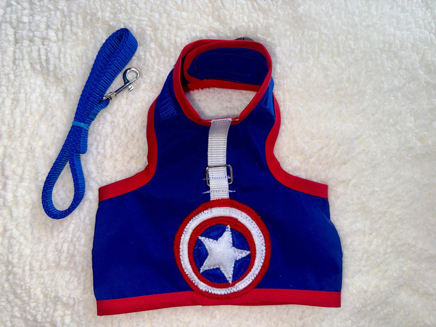 Harness with Front Design