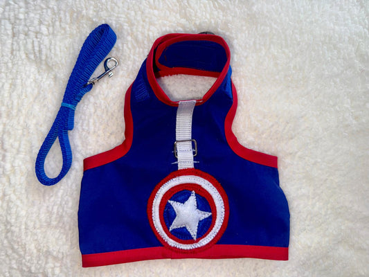 Harness with Front Design